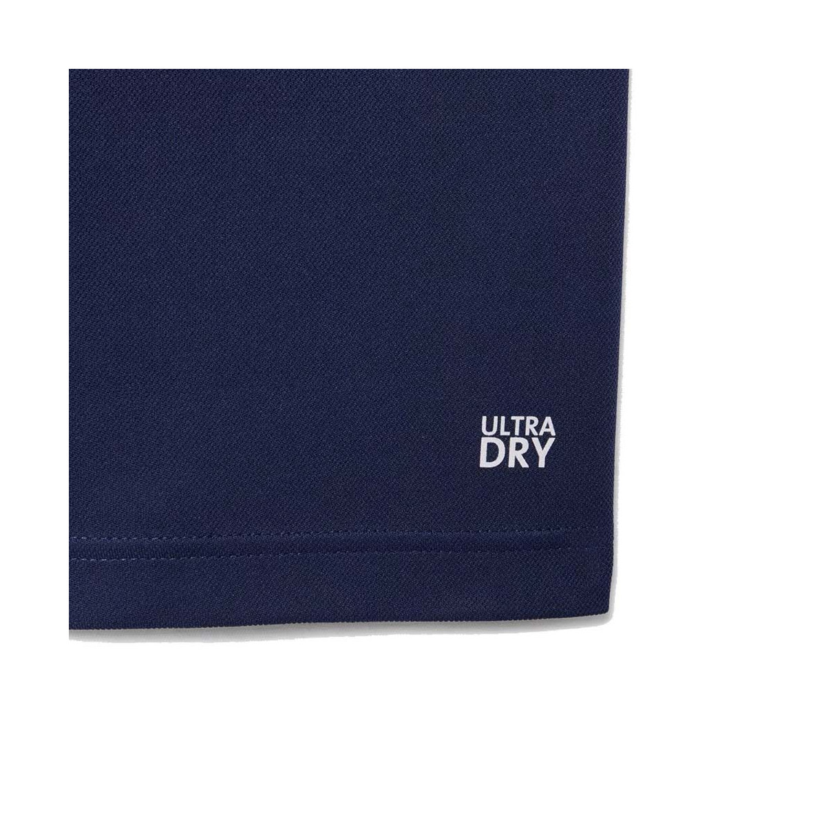 Lacoste French National Tennis Team Polo Navy Blue