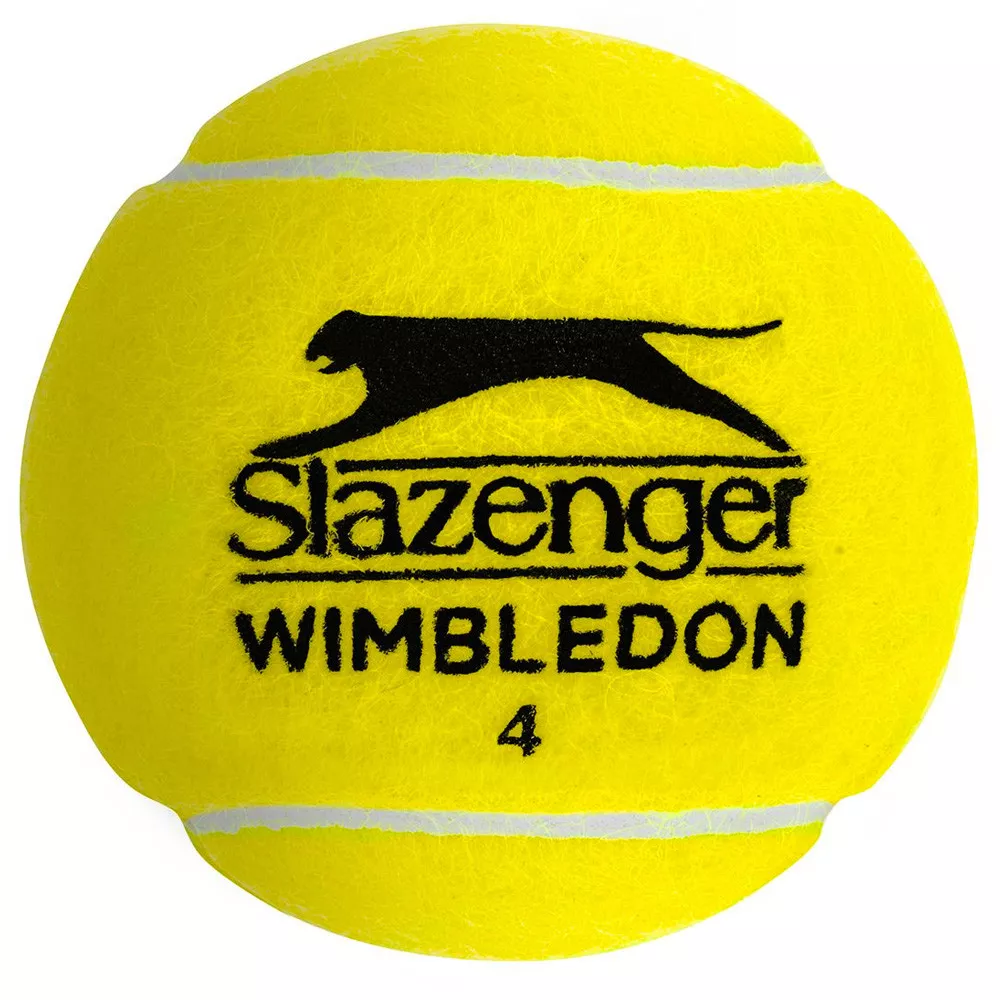 Box 18 cans of 4 Dunlop Fort All Court balls