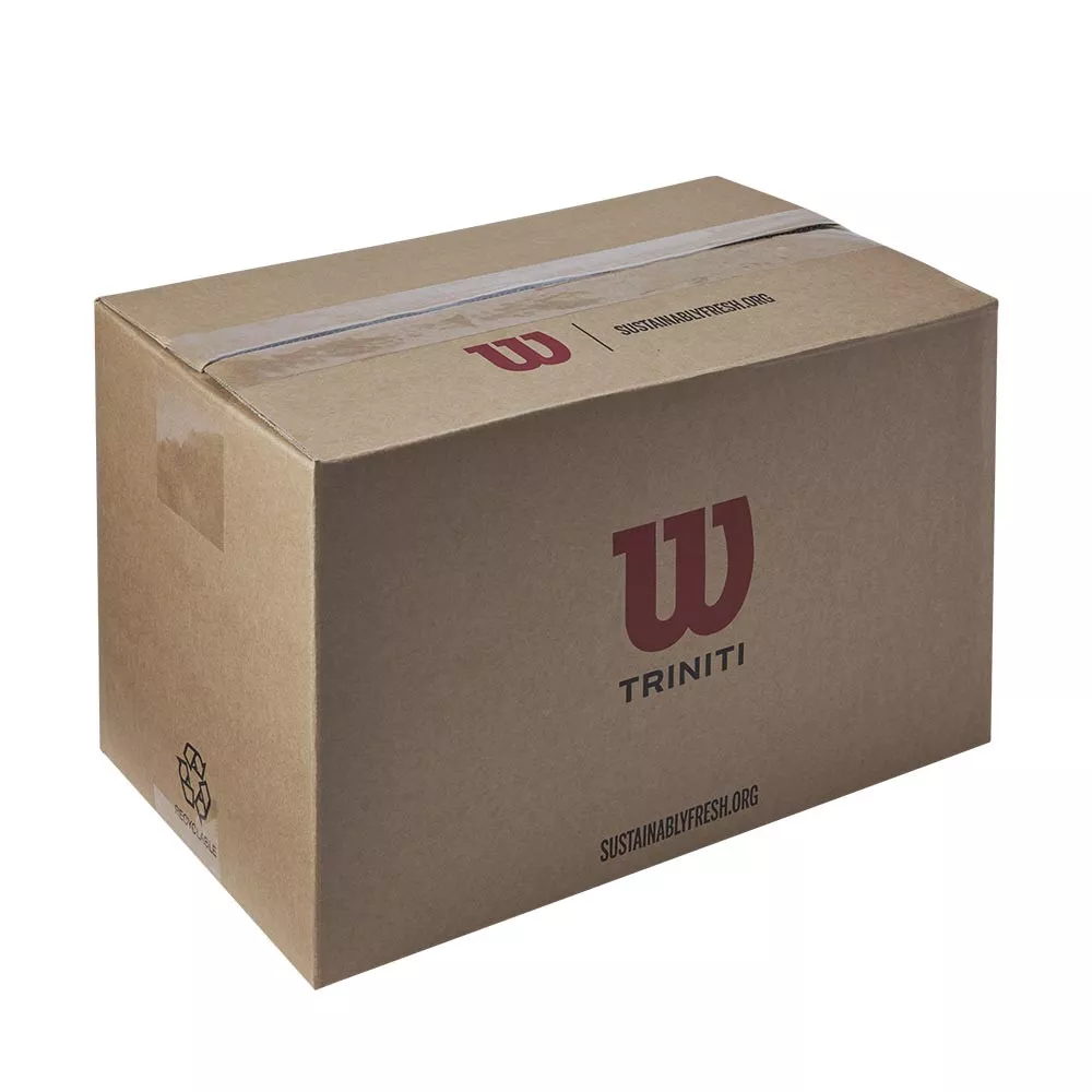 Box 18 cans of 4 Wilson Triniti balls