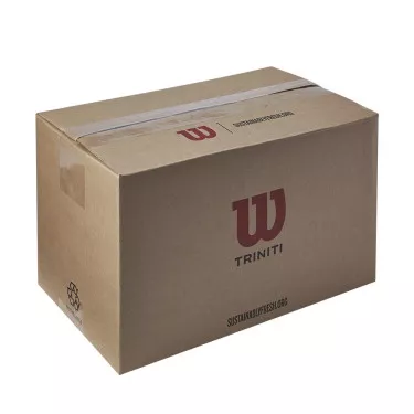 Box 18 cans of 4 Wilson Triniti balls