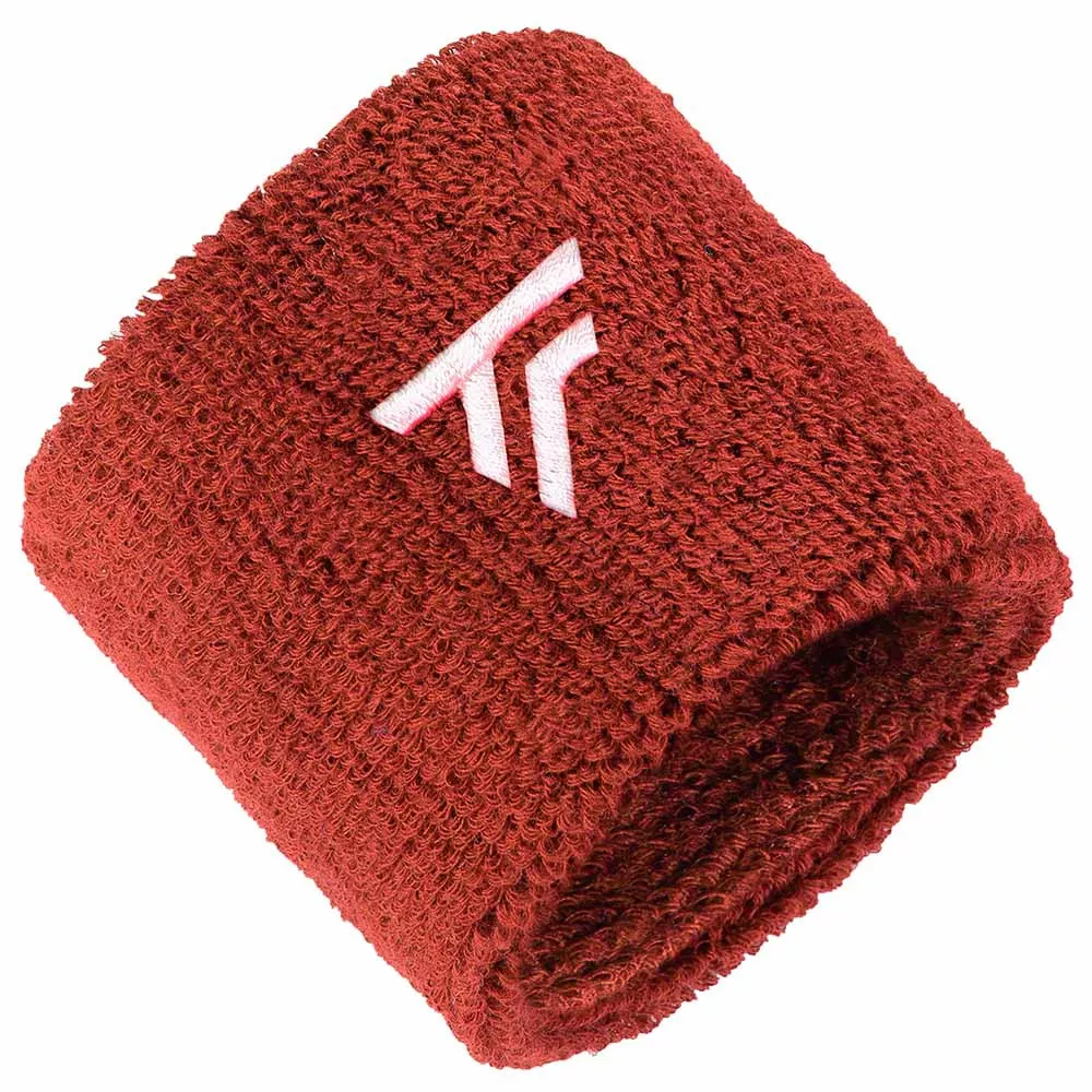Wristbands Tecnifibre x 2 Clay