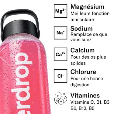 Waterdrop Recharge Berry x12