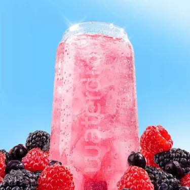 Waterdrop Microdrink Wildberry Fusion x12