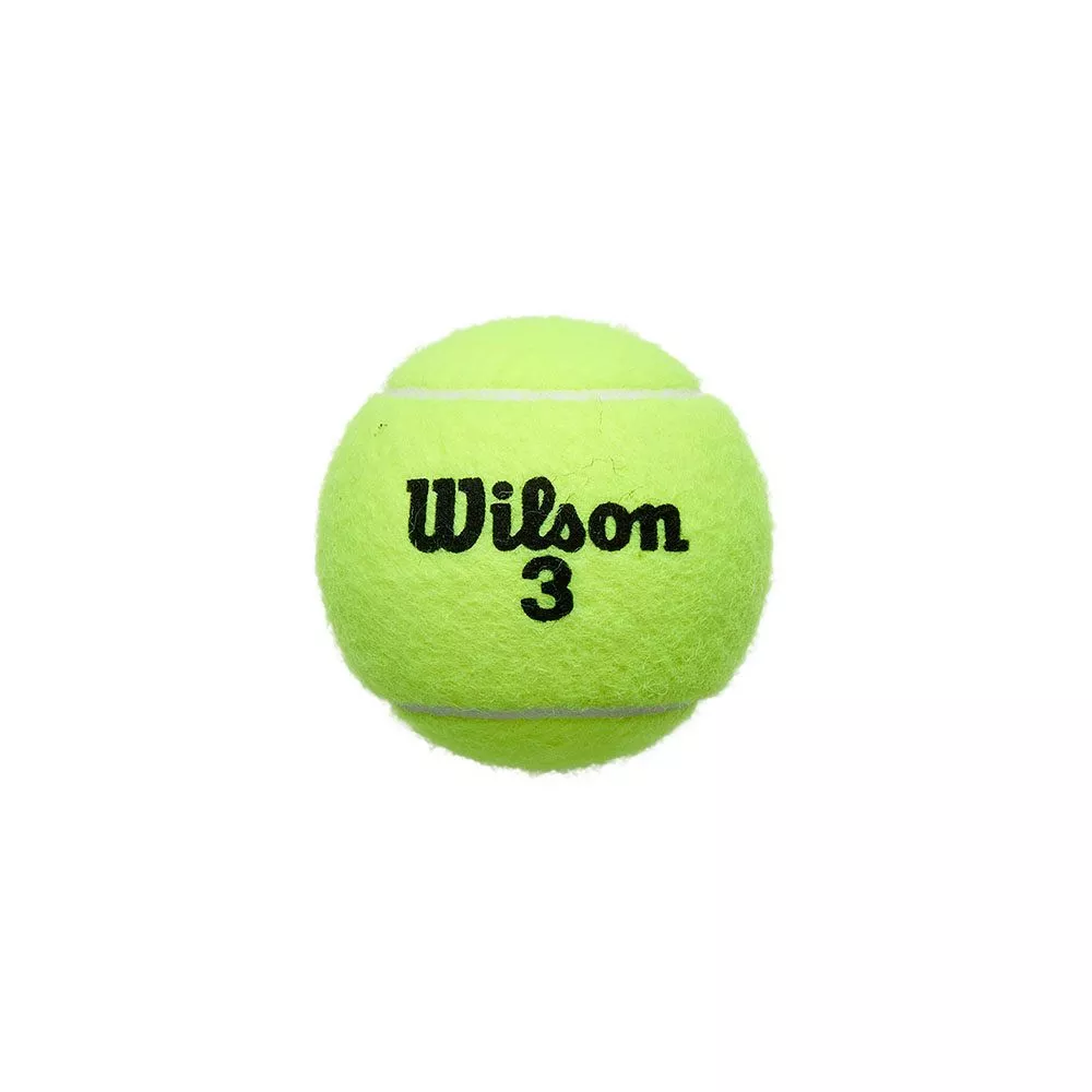Wilson Roland Garros All Court 4 Balls Can