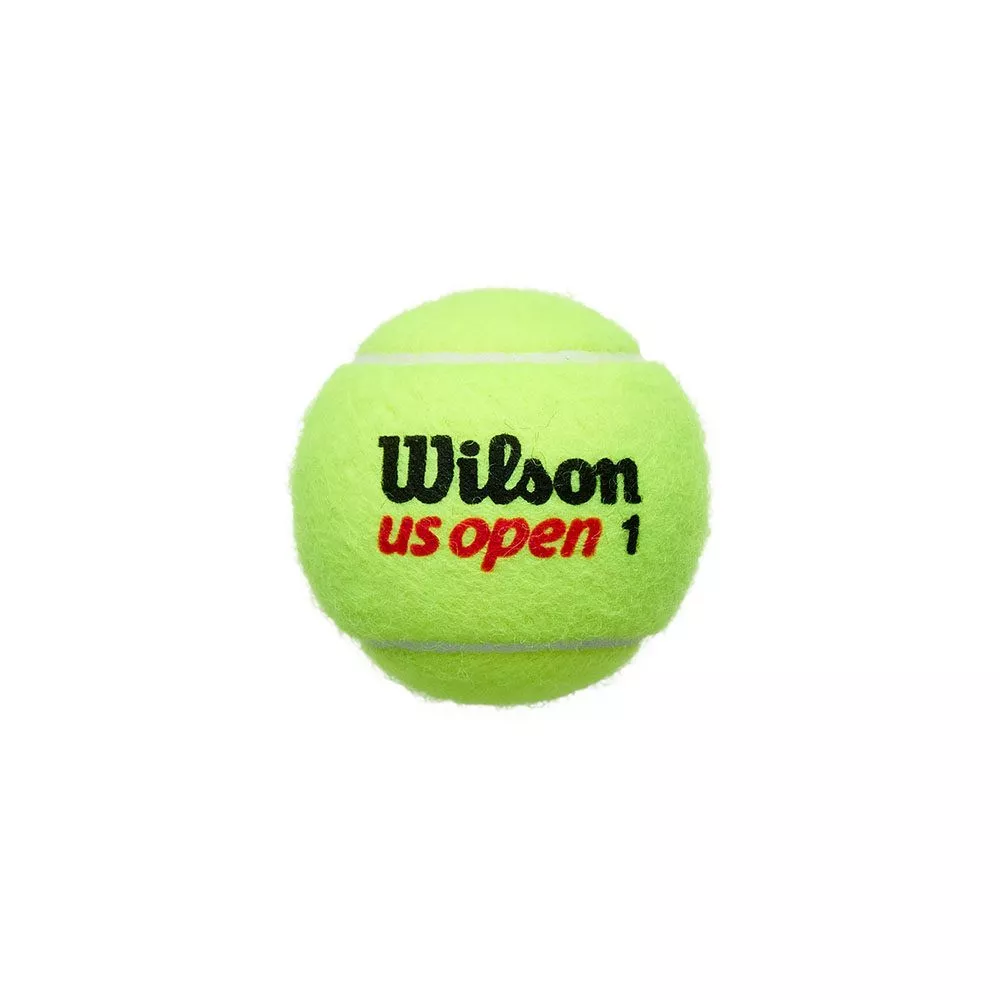 Wilson US Open 4 Balls Can